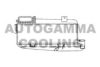 AUTOGAMMA 101484 Intercooler, charger